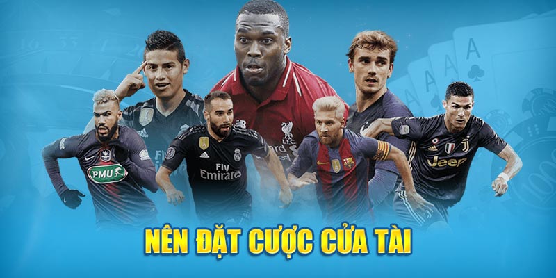 Nên đặt cược cửa tài